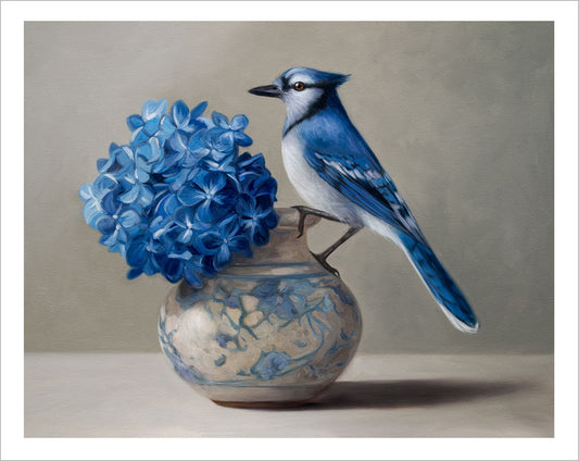Blue Jay & Hydrangeas • Fine Art Print