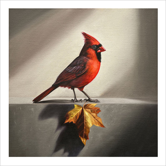 Cardinal & Maple Leaf • Fine Art Print
