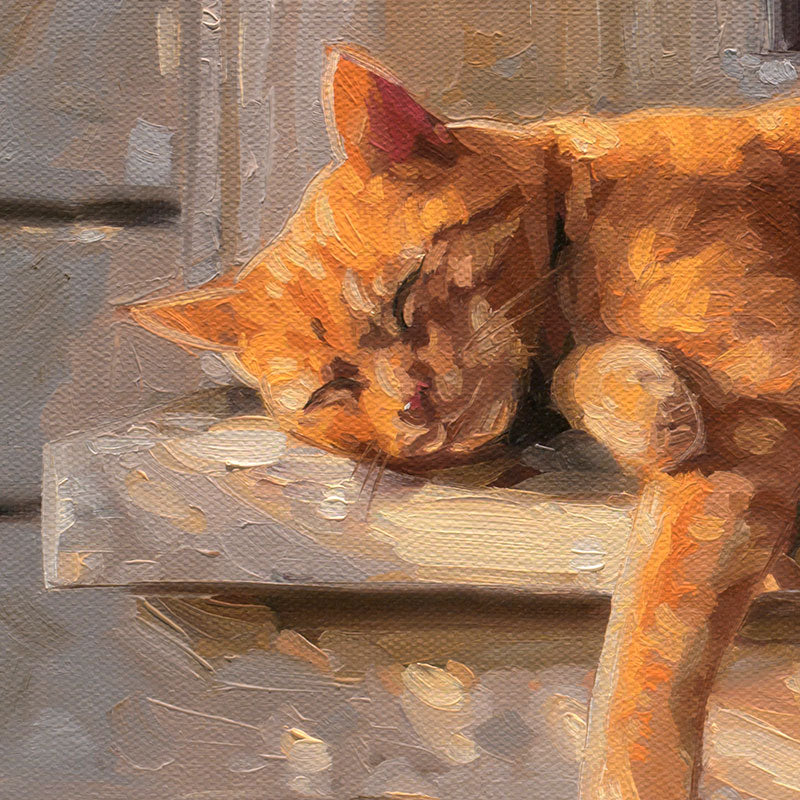 Sunlit Cat & Sparrow • 16 x 16