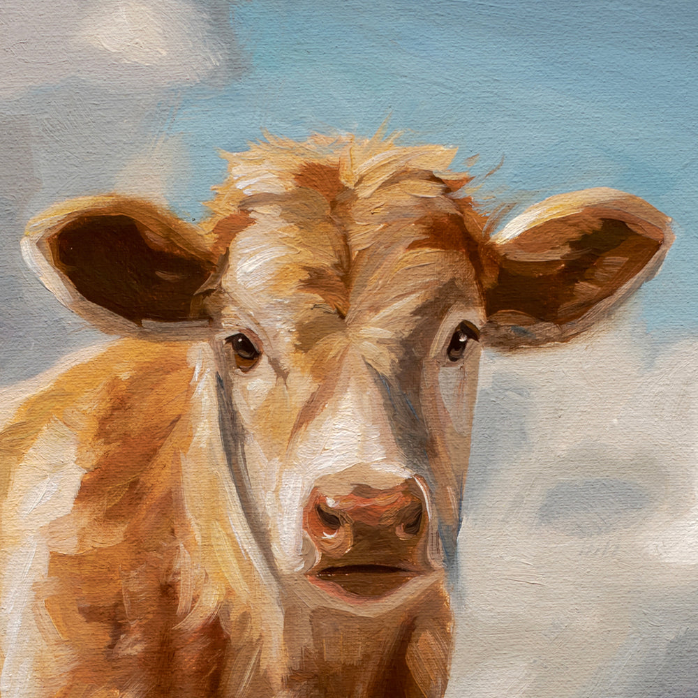 Curious Cow • 12 x 12