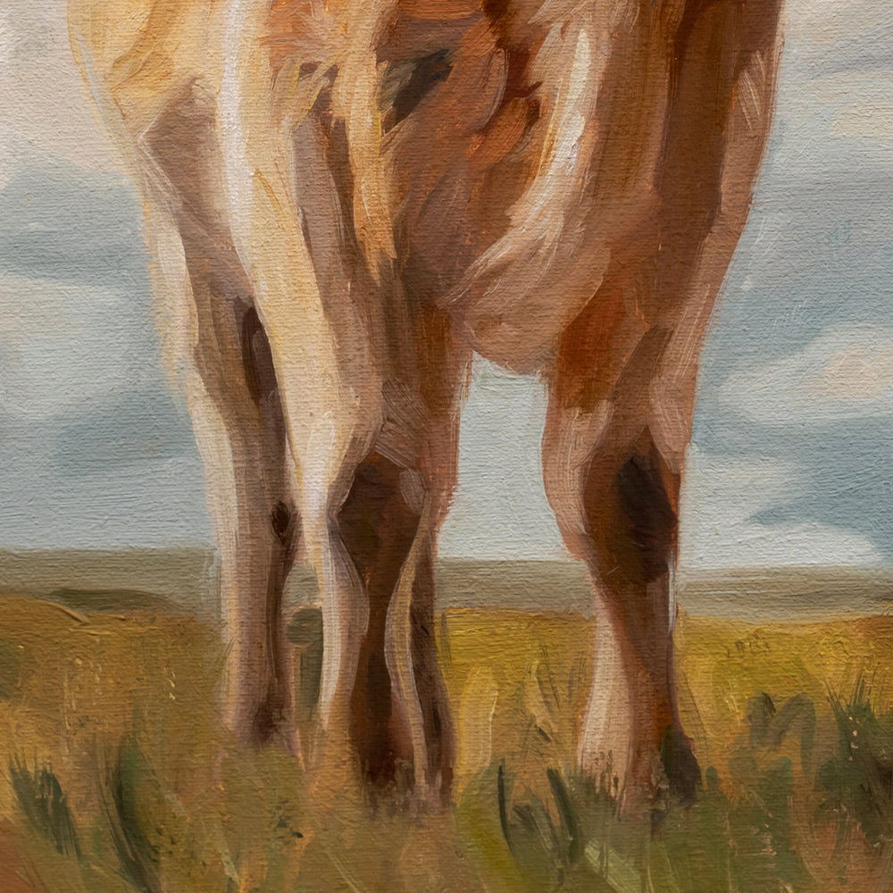 Curious Cow • 12 x 12