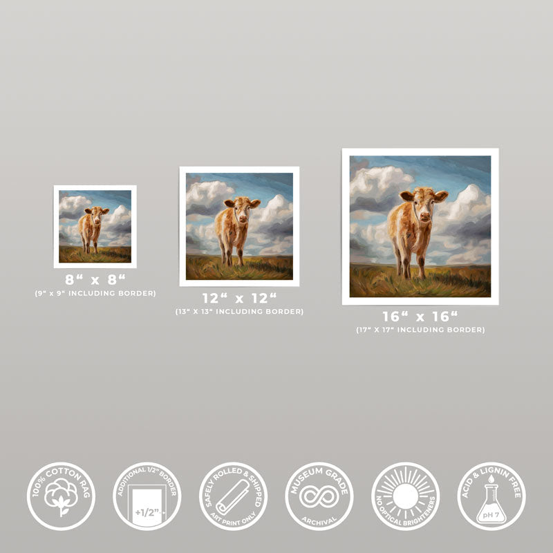 Curious Cow fine art prints in 8x8, 12x12, and 16x16 inch sizes on archival cotton rag paper with white borders.