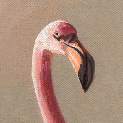 Poolside Flamingos • 20 x 20