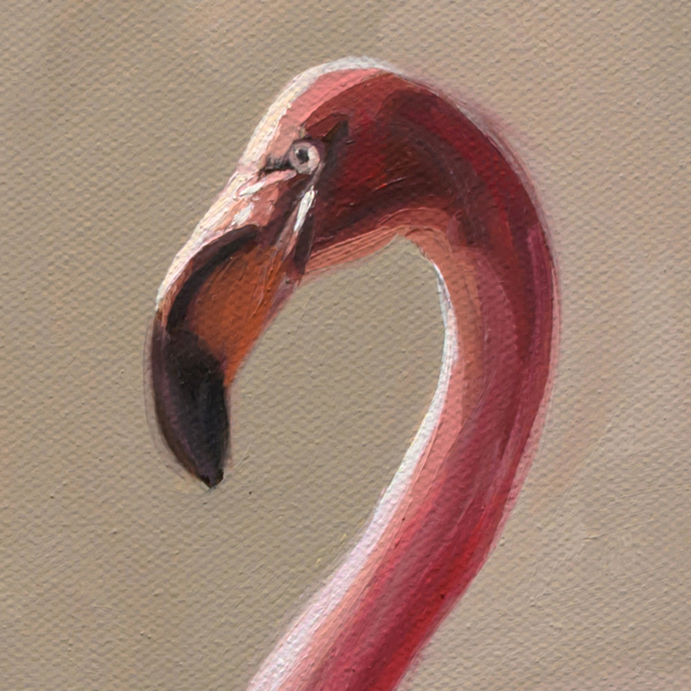 Poolside Flamingos • 20 x 20