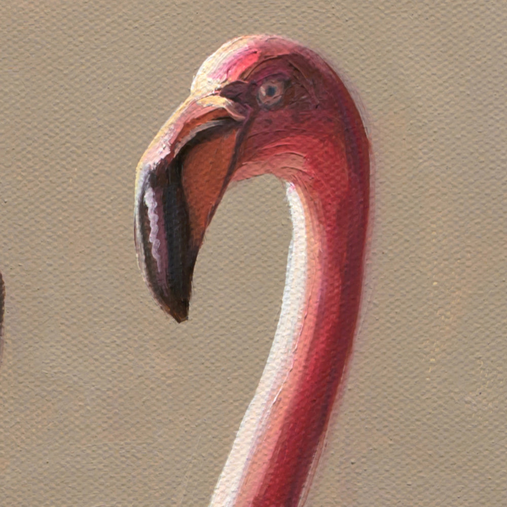 Poolside Flamingos • 20 x 20