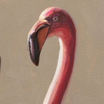 Poolside Flamingos • 20 x 20