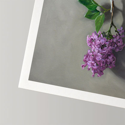 Fine art print of vibrant purple lilac blossoms on a grey background, printed on textured cotton rag paper with a white border.
