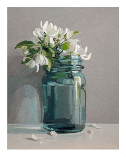 Fine art print of white apple blossoms in a blue glass mason jar on a grey background with a white border.
