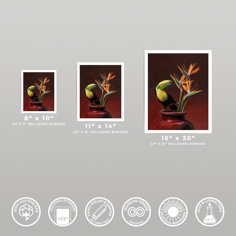 Keel-billed toucan and bird of paradise fine art prints in three sizes on museum-grade 310gsm cotton rag paper.