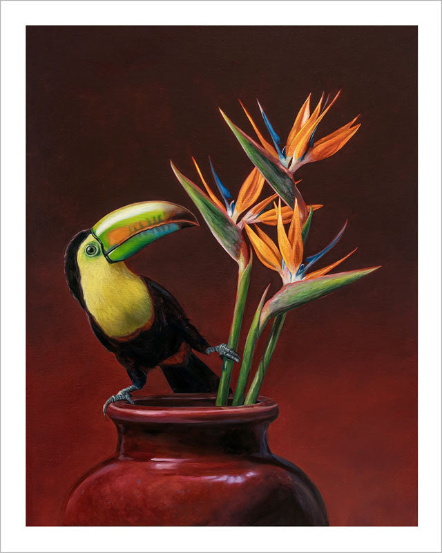 Keel-billed toucan and orange bird of paradise flowers in a red vase, fine art print on museum-grade cotton rag paper.