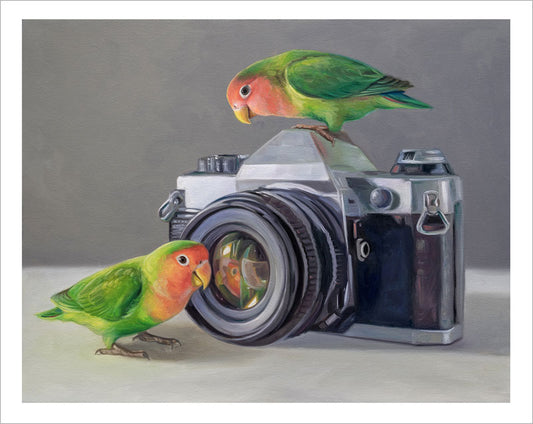 Lovebirds & Camera • Fine Art Print