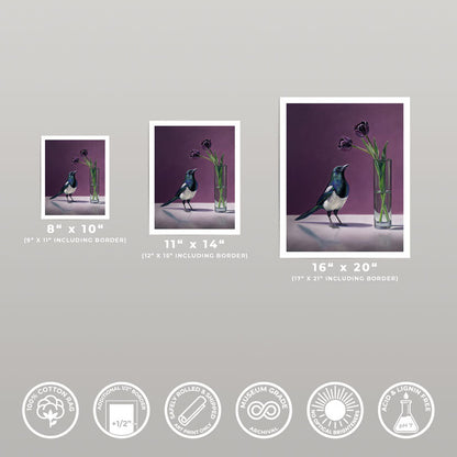 Three sizes of a Magpie and Queen of the Night tulip art print on cotton rag paper with archival quality icons.