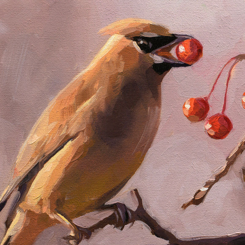 Original oil painting on linen of a tan Cedar Waxwing bird eating red berries, 14 x 11 inch textured brushwork.