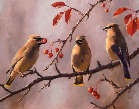 Autumn Cedar Waxwings • 14 x 11