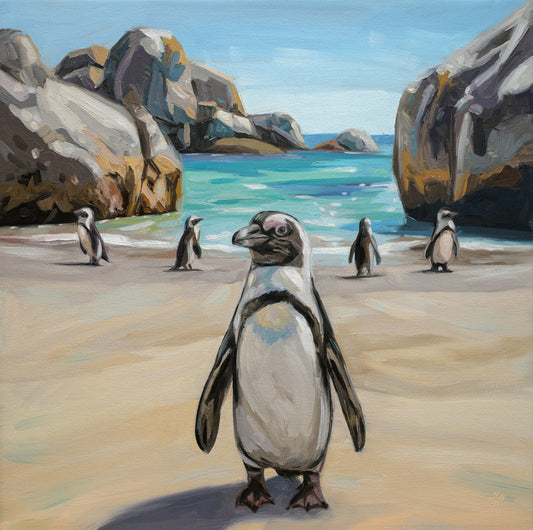 12x12 inch oil painting of penguins on a sunny beach with large granite boulders and turquoise water.