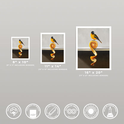 Three sizes of Orange Twist Oriole fine art prints on cotton rag paper with 1/2 inch white borders and archival quality icons.