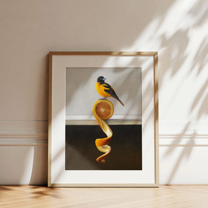 Fine art print of an oriole perched on a sliced orange with a curling peel, framed in a light wood frame on a floor.