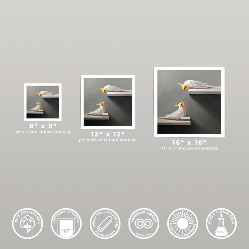 Three sizes of a Cockatiel fine art print on 310gsm cotton rag paper with a half-inch white border and archival quality.