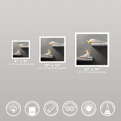Three sizes of a Cockatiel fine art print on 310gsm cotton rag paper with a half-inch white border and archival quality.