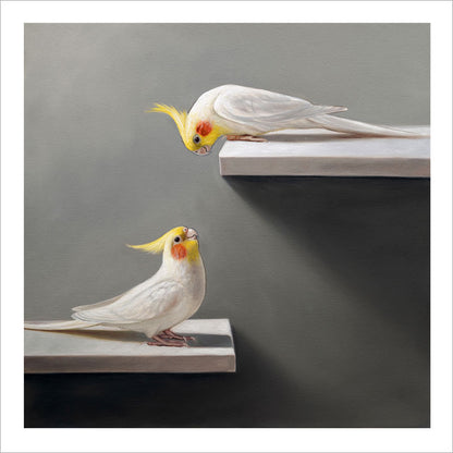 Fine art print of two white cockatiels with yellow crests and orange cheeks perched on shelves against a grey background.