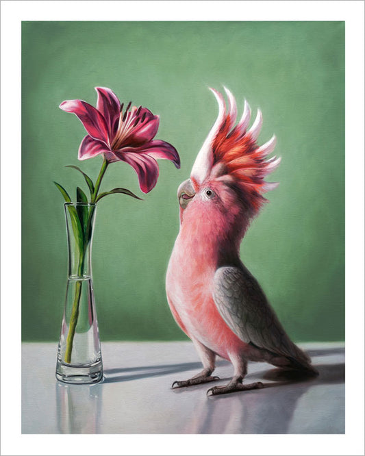 Pink Cockatoo & Lilies • Fine Art Print