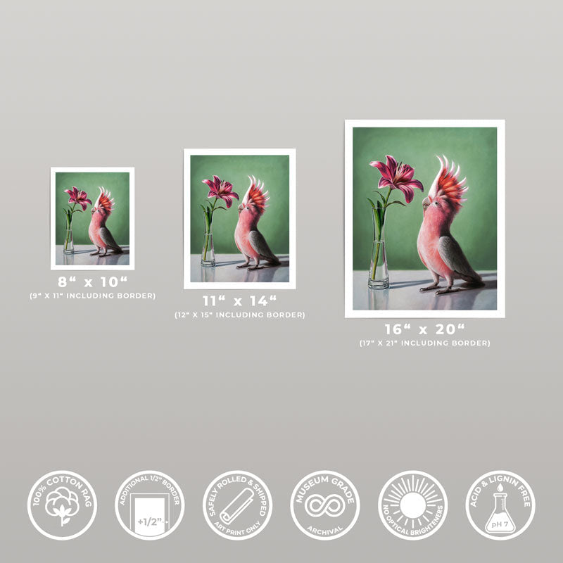 Three sizes of a pink cockatoo and lily fine art print on museum-grade cotton rag paper with white borders.