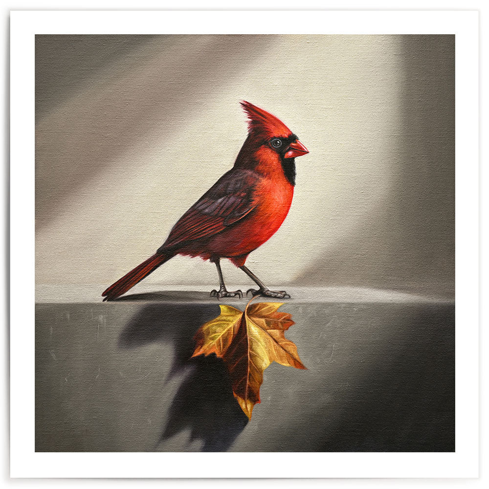 Cardinal & Maple Leaf • Fine Art Print