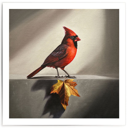 Cardinal & Maple Leaf • Fine Art Print