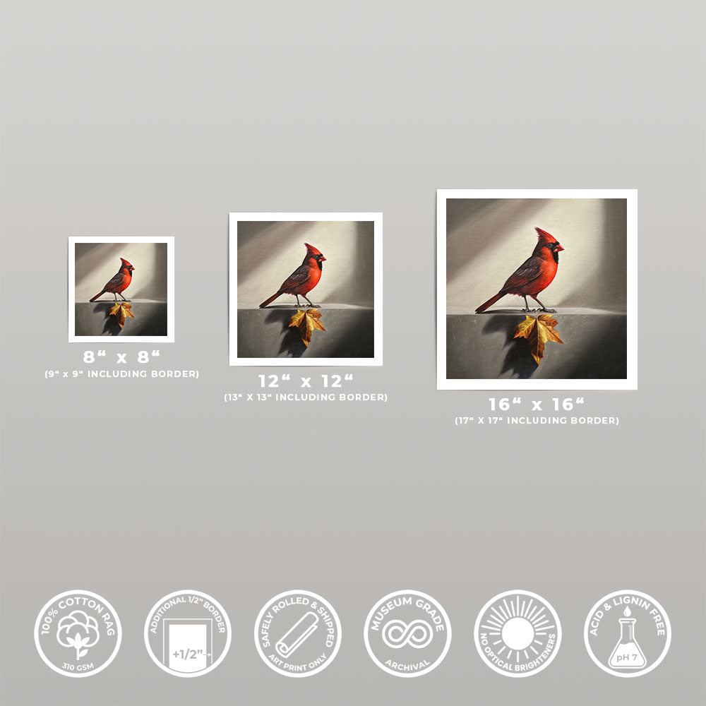 Cardinal & Maple Leaf • Fine Art Print