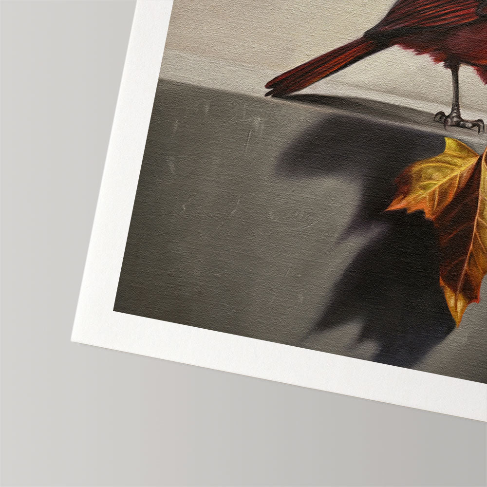Cardinal & Maple Leaf • Fine Art Print