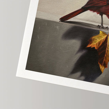 Cardinal & Maple Leaf • Fine Art Print