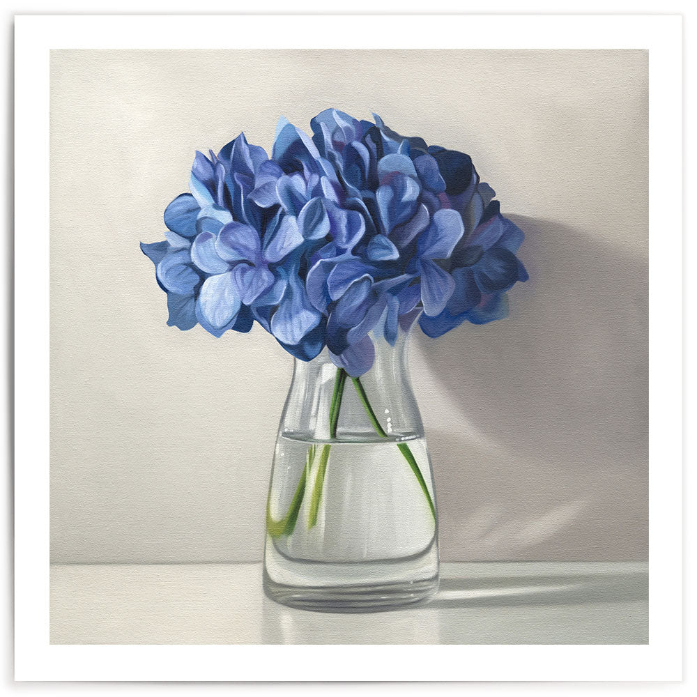Blue Hydrangeas • Fine Art Print