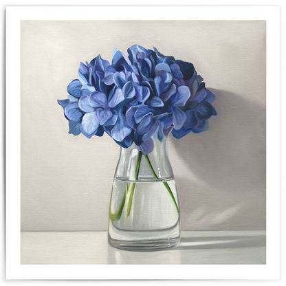 Blue Hydrangeas • Fine Art Print