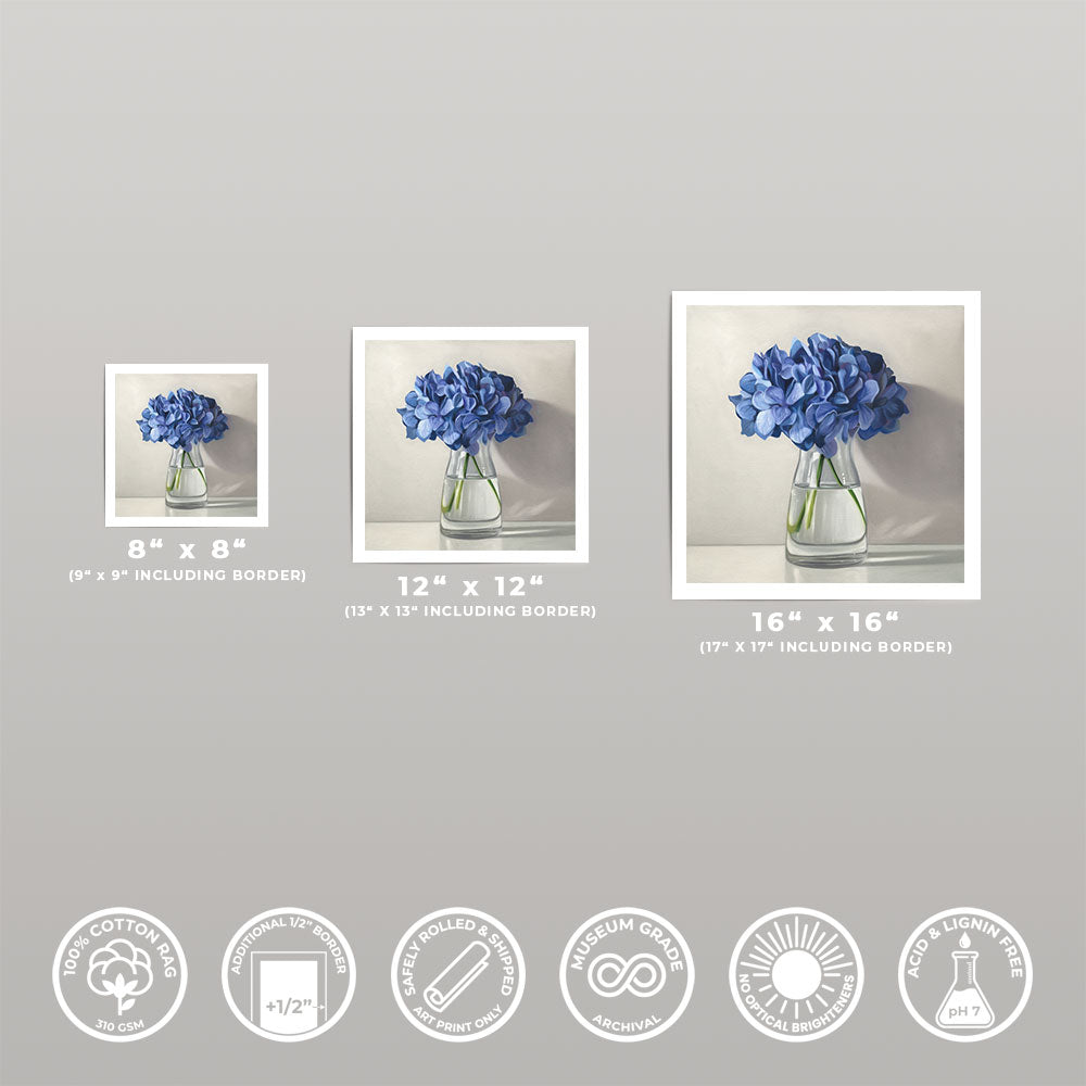 Blue Hydrangeas • Fine Art Print