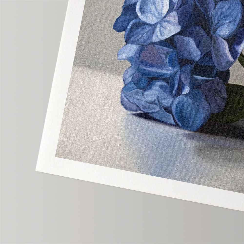 Blue Hydrangeas • Fine Art Print