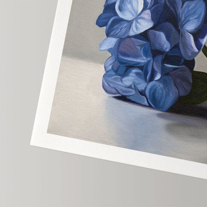 Blue Hydrangeas • Fine Art Print