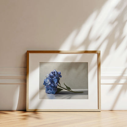 Blue Hydrangeas • Fine Art Print