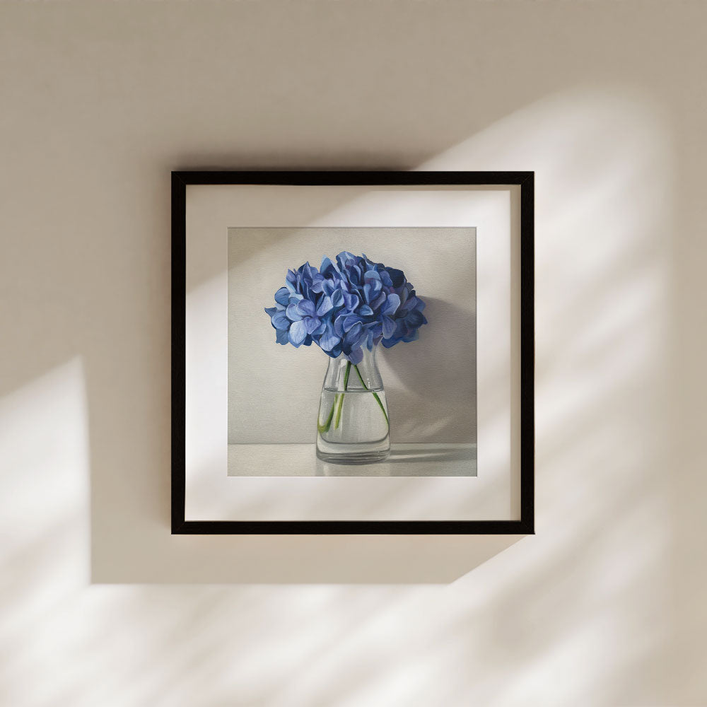 Blue Hydrangeas • Fine Art Print