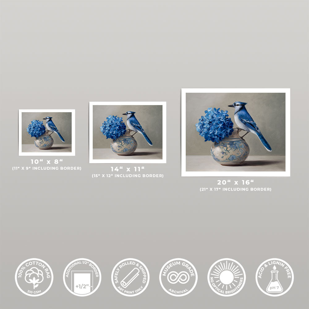 Blue Jay & Hydrangeas • Fine Art Print