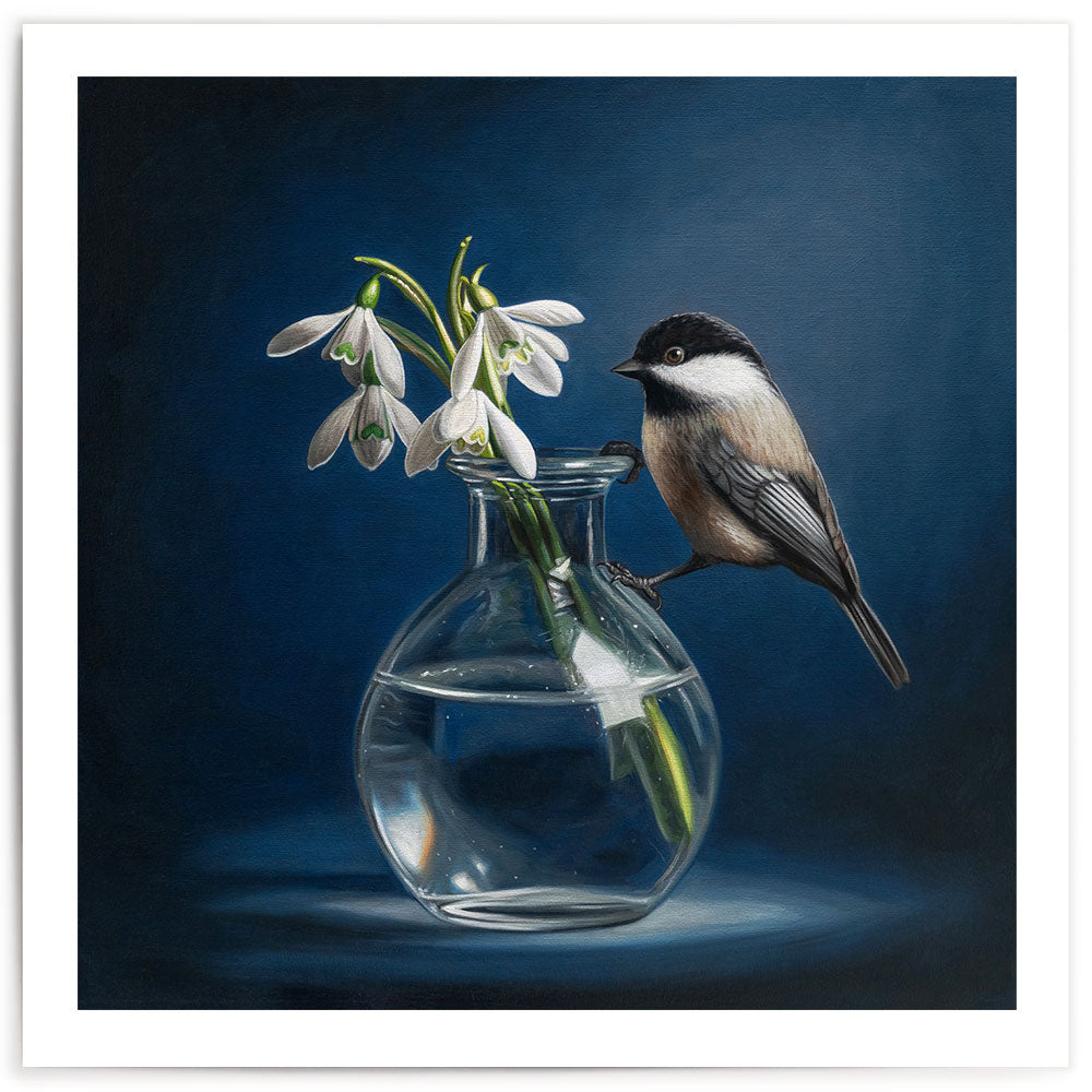 Chickadee & Snowdrop Flowers • Fine Art Print