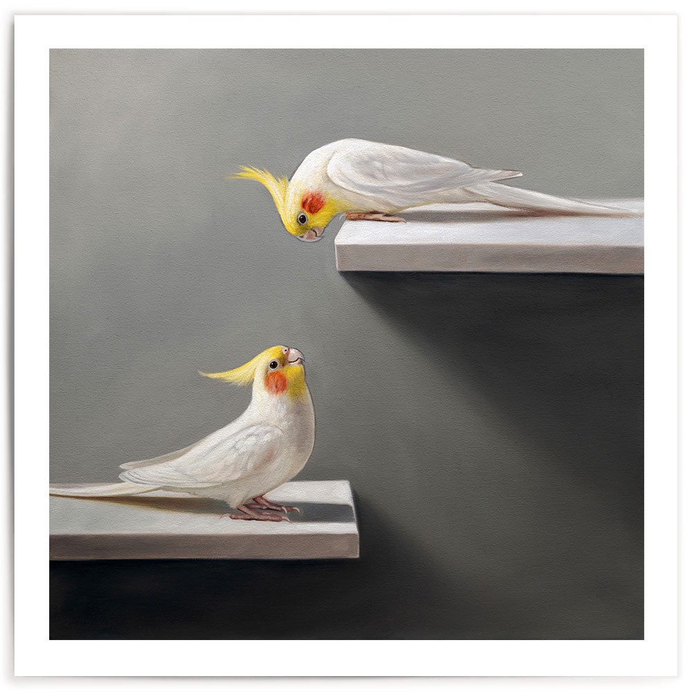 Pair of Cockatiels • Fine Art Print