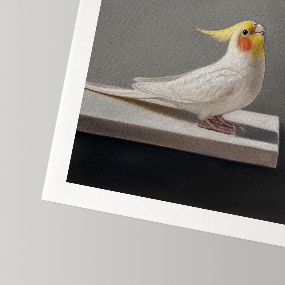 Pair of Cockatiels • Fine Art Print
