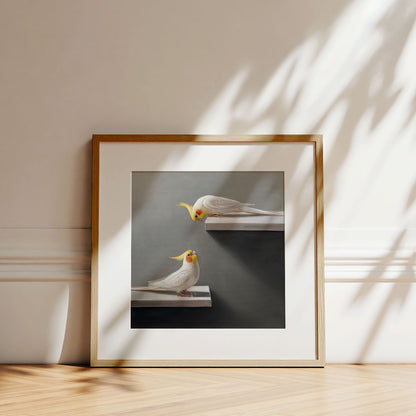 Pair of Cockatiels • Fine Art Print