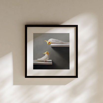 Pair of Cockatiels • Fine Art Print