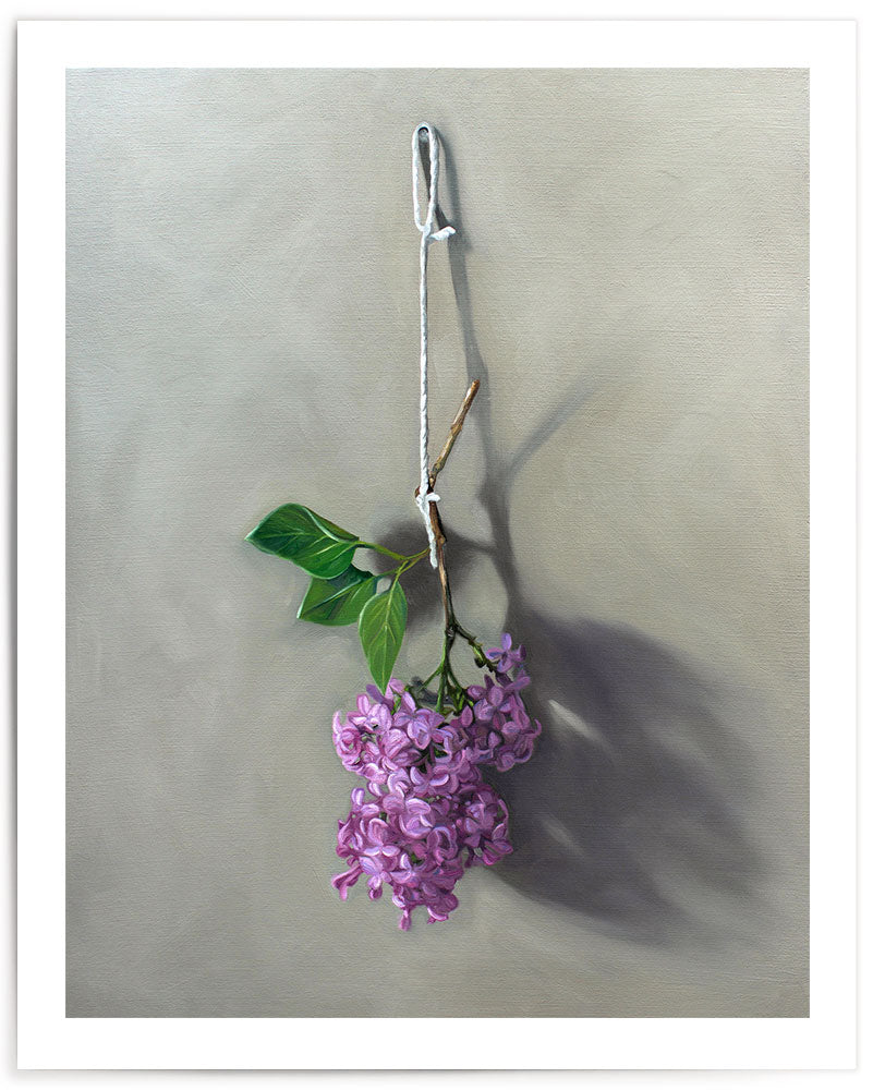 Hanging Lilac Blossoms • Fine Art Print