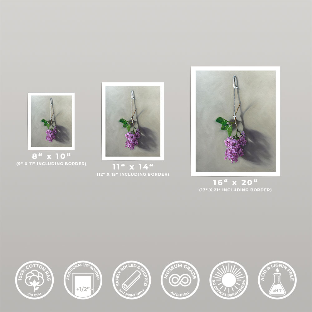 Hanging Lilac Blossoms • Fine Art Print