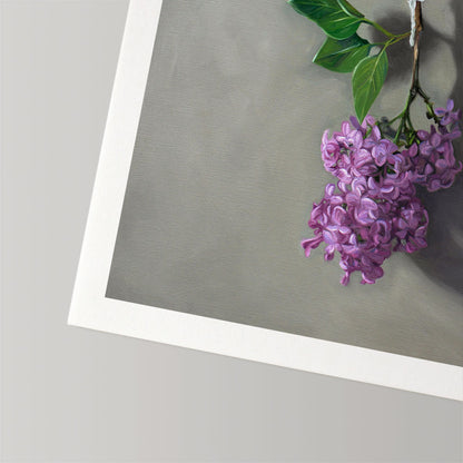 Hanging Lilac Blossoms • Fine Art Print