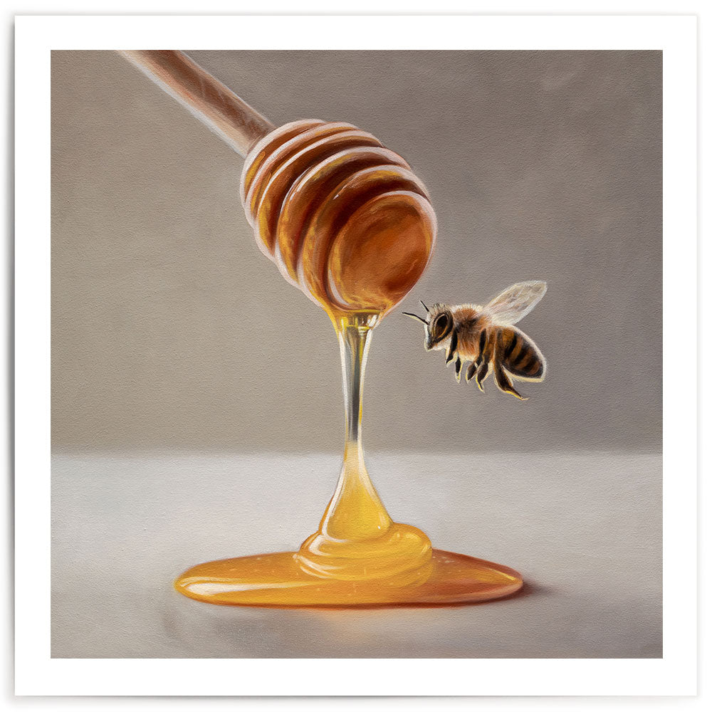 Honey Dipper & Bee • Fine Art Print
