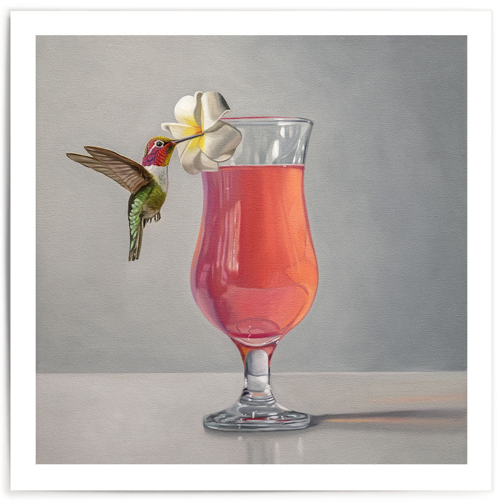 Hummingbird and Pink Cocktail • Fine Art Print