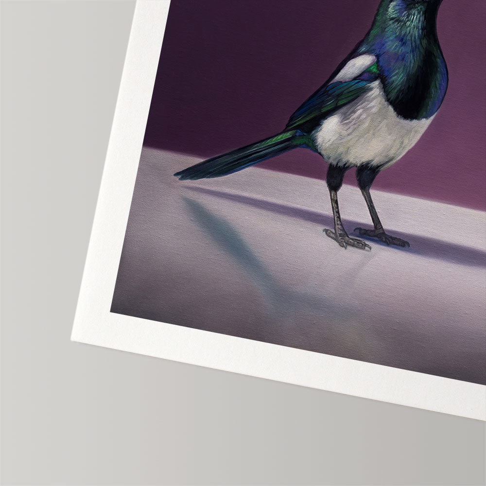 Magpie & Queen of the Night Tulips • Fine Art Print